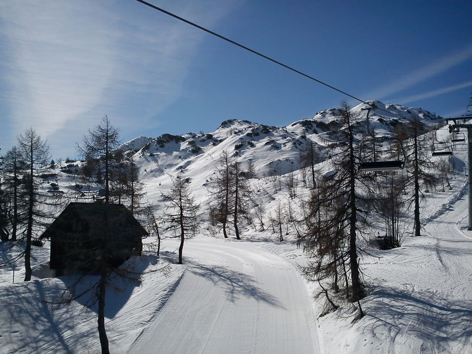 Vogel, 25.03.2011 - foto povečava