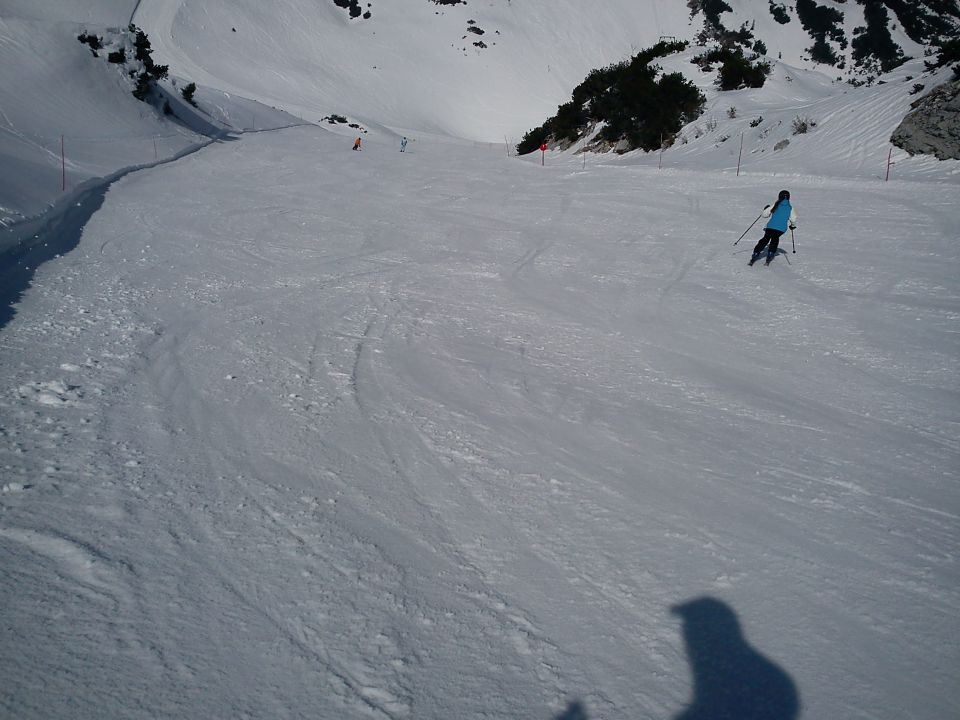 Vogel, 25.03.2011 - foto povečava