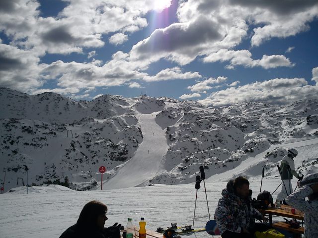 Vogel 29.02.2012 - foto