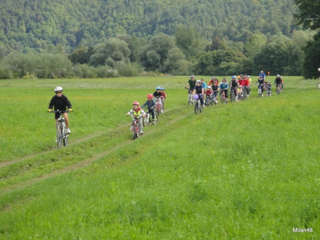 Razne prchkarije - foto