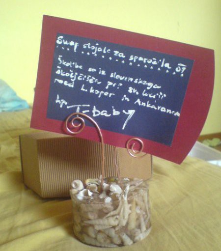 Swap ki sem ga dobila od T-baby.

Hvala!!!!!!