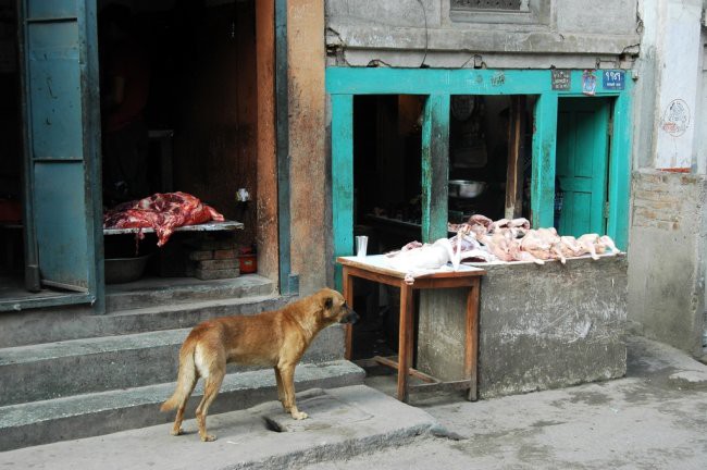 Meni ljubše - foto povečava