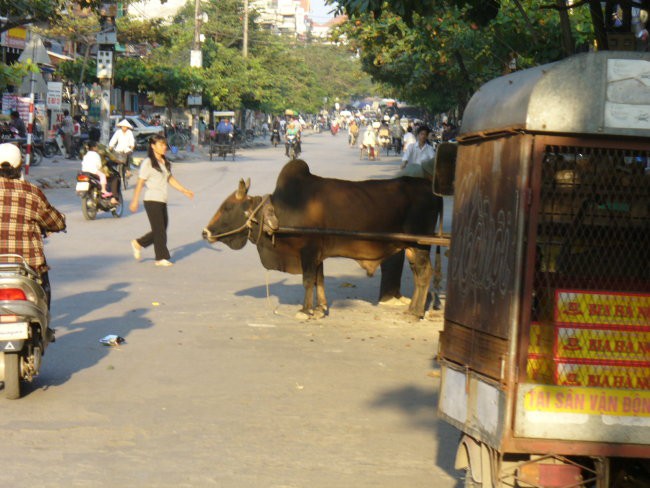 Mal so nametane  slikce! Tale je u bistvu casovno zadnja! Narejena je v Ninh Binhu, malem 