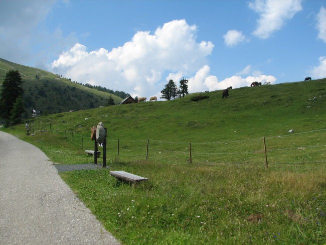 BO02.08.2008 - foto povečava