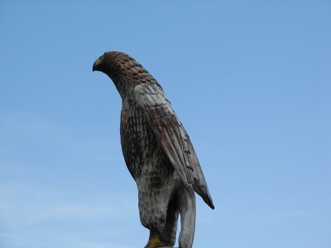 BO02.08.2008 - foto povečava