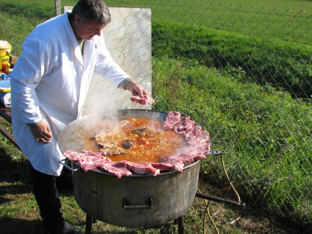 Kostanjev piknik 16.10.2011 - foto