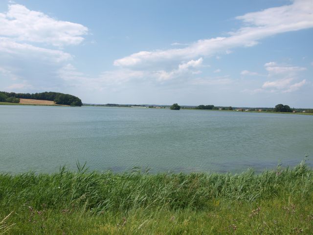 Gajševsko jezero 2012 - foto