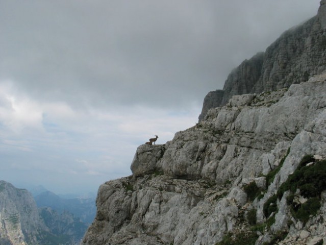 Montaž po Pipanovi lestvi 12.7.2006 - foto