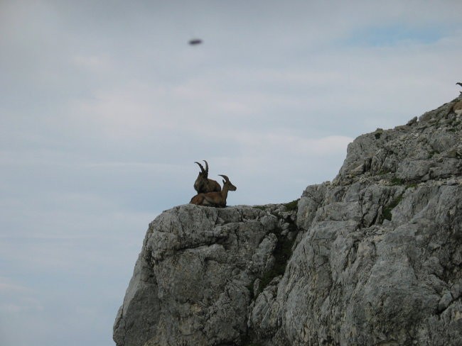 Montaž po Pipanovi lestvi 12.7.2006 - foto povečava