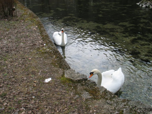 Bosna marec 2006 - foto