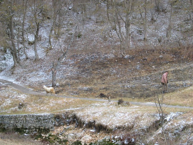 Bosna marec 2006 - foto povečava
