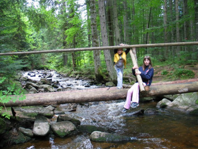 Pohorje 2005 - foto