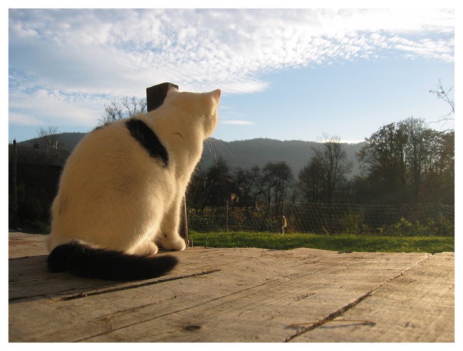 Snežka - foto povečava