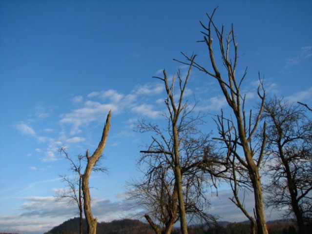 Narava februar 2007 - foto