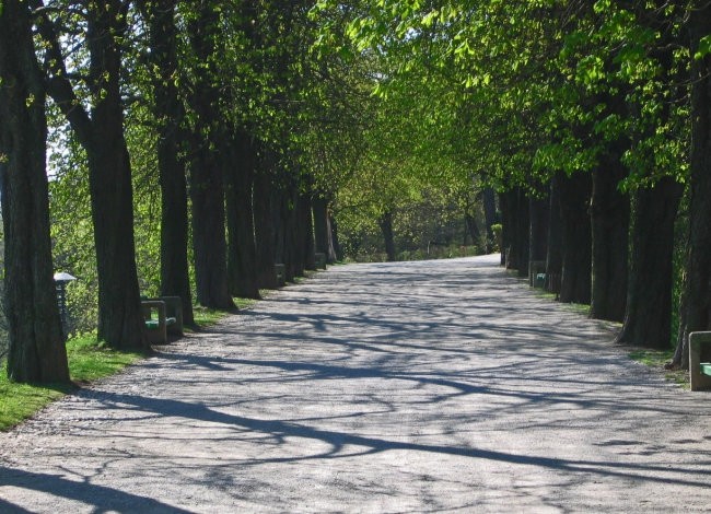 Grgtreg - foto povečava