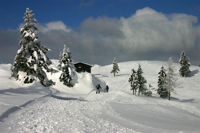 Velika Planina 10.12.2005 - foto povečava