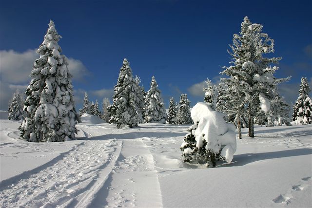 Velika Planina 10.12.2005 - foto