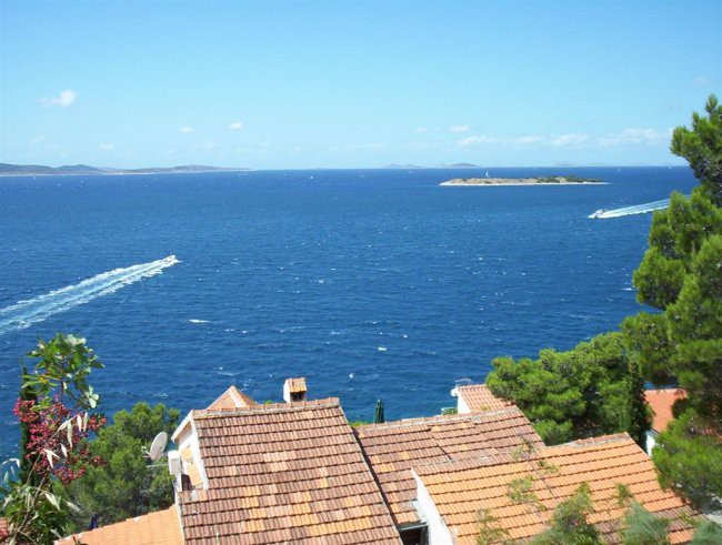 MORE - foto povečava
