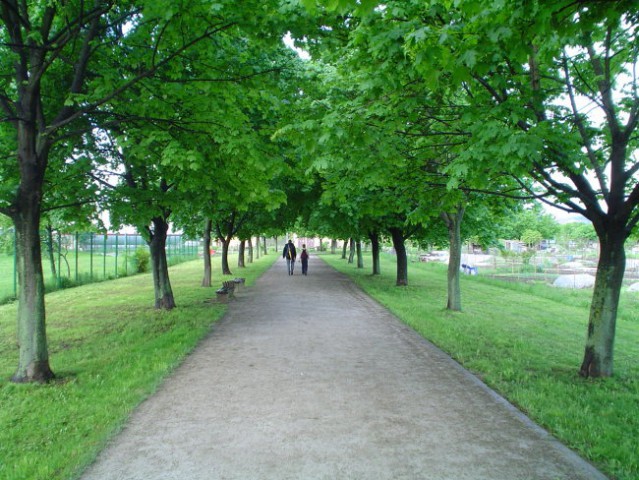 Po PSTju okoli Ljubljane 2004 - foto