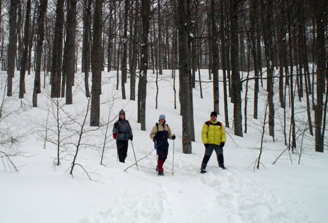 Snežnik 2004 - foto