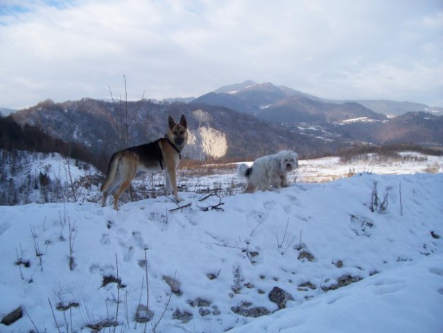 Zimska idila - foto