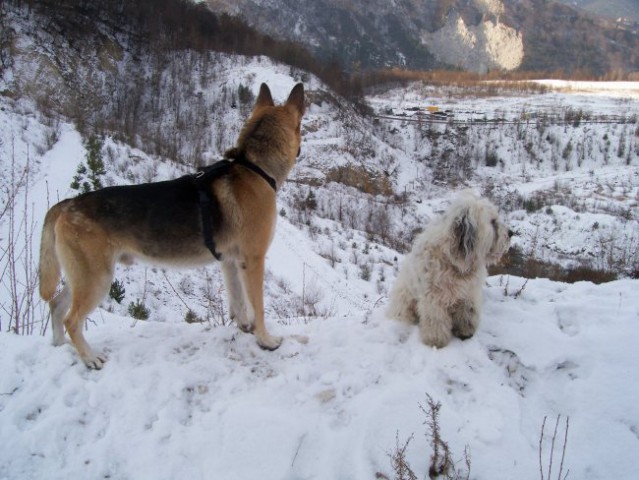 Zimska idila - foto