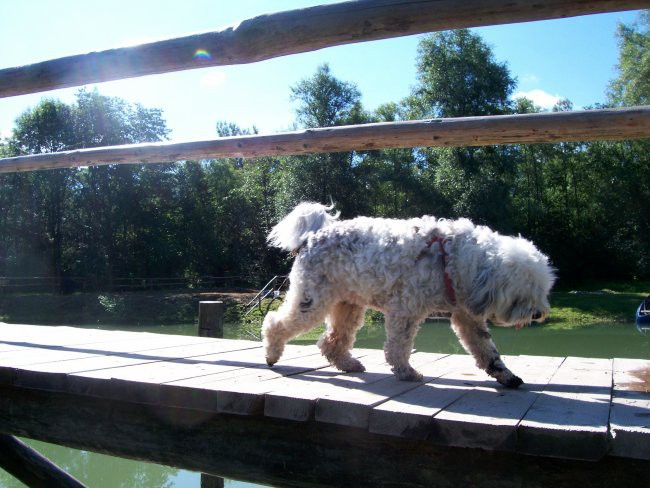 Kamp Menina 2008 - foto povečava