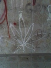 Ganyaaa r00x;D