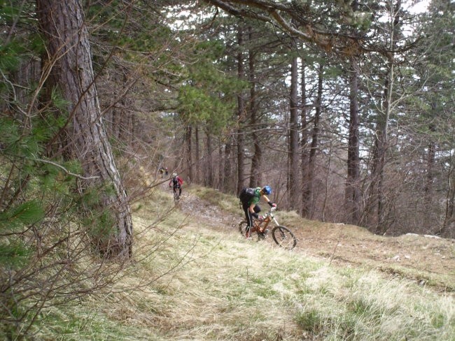 Z voljo na skozno 2008 - foto povečava