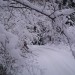 slivnica mtb po snegu