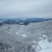 golak 20/12/08