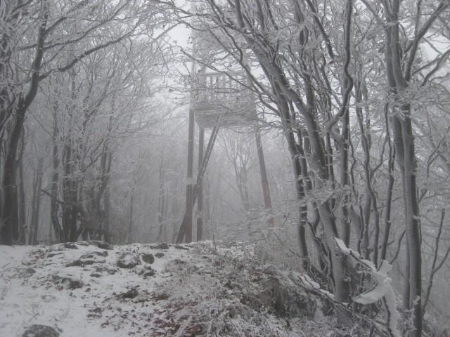  zimski sprehodi po Javorniku in Čavnu - foto povečava