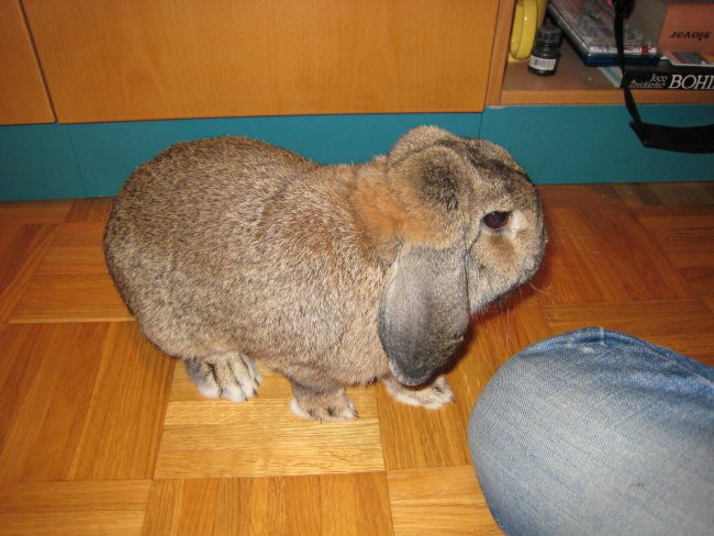 joj no...koliko krat me boš še slikala??


