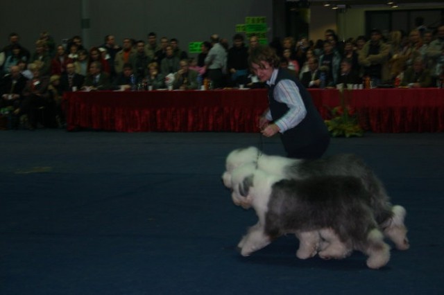 Ljubljana Tromostovje 14.01.2005 - foto