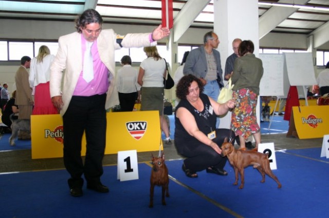 Eurodog Tulln - 05.06.2005 - foto