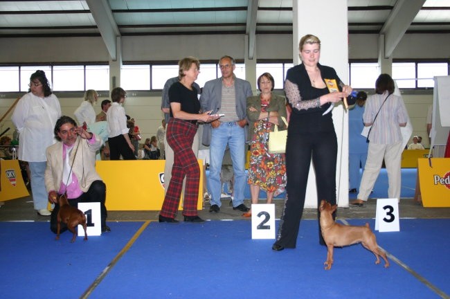 Eurodog Tulln - 05.06.2005 - foto povečava