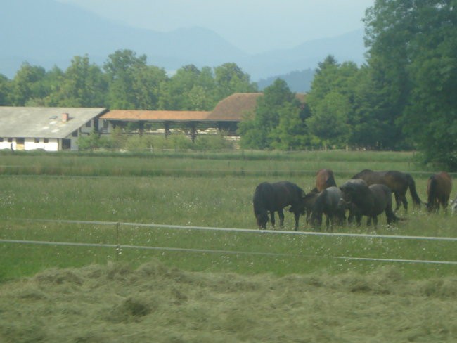 JANČE-ROŠCE  - foto povečava