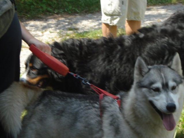 6. PESJANARSKO SREČANJE, KRANJ, 24.6.2007 - foto