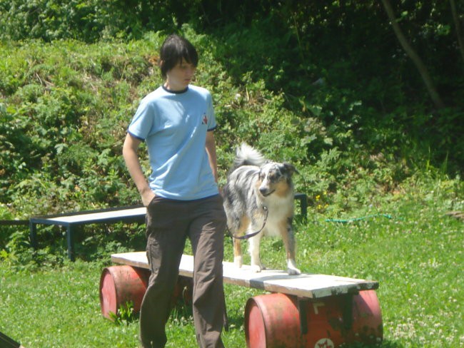 6. PESJANARSKO SREČANJE, KRANJ, 24.6.2007 - foto povečava