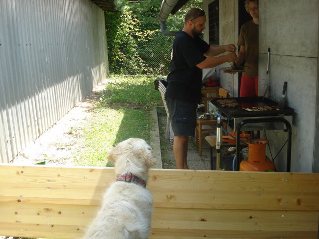 6. PESJANARSKO SREČANJE, KRANJ, 24.6.2007 - foto povečava