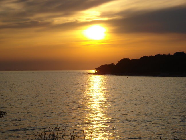 NOVIGRAD 2007 - foto povečava