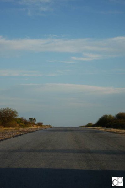 Kraški Ovčarji - Argentina - foto