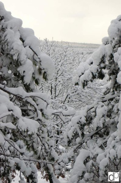 Sneg v Repnu 29. 12. 2005 - foto povečava