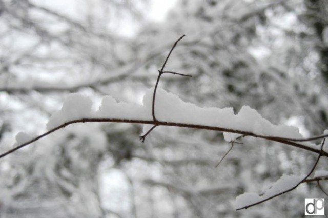Sneg v Repnu 29. 12. 2005 - foto