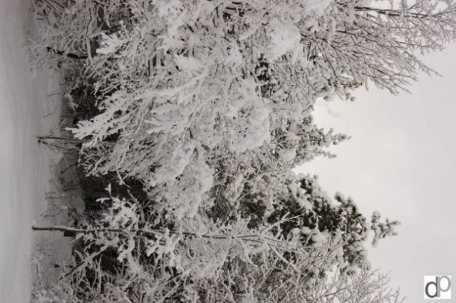 Sneg v Repnu 29. 12. 2005 - foto