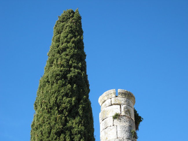 Izlet Italija Aquileia - foto povečava