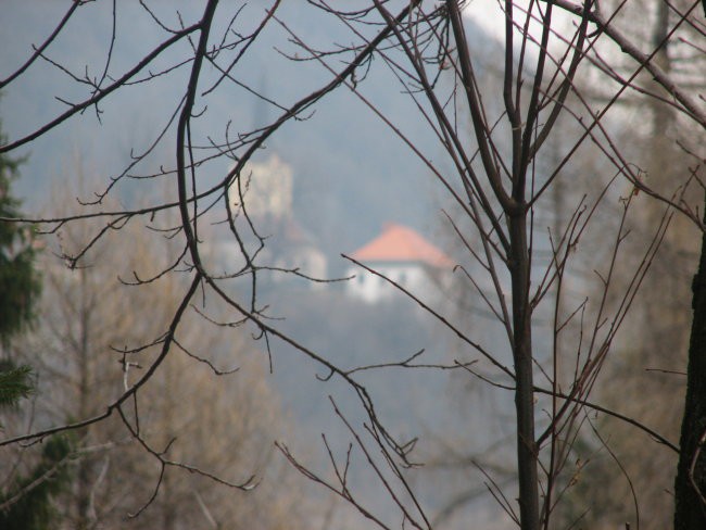 Orientacija - foto povečava