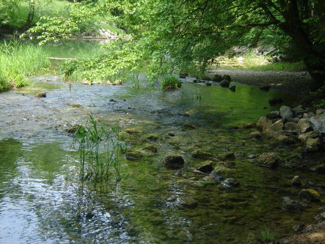 Bi-Pi poživi - foto povečava