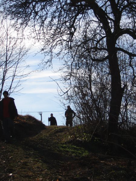 2008_03_03_Dolenjska - foto povečava