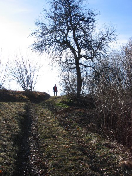 2008_03_03_Dolenjska - foto povečava